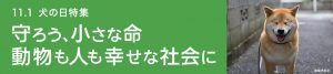 Yahoo!ネット募金　犬の日特集から募金いただけます