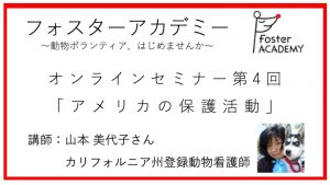 【フォスターアカデミー】オンラインセミナー 第4回を公開しました！