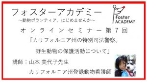 【フォスターアカデミー】オンラインセミナー第7回「サンディエゴ特別司法警察（アニマルポリス）や野生動物保護活動について」を公開しました