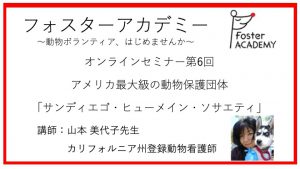 【フォスターアカデミー】アメリカ最大級の動物保護団体「サンディエゴ・ヒューメイン・ソサエティ」について公開しました