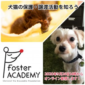 【フォスターアカデミー】続々 犬猫の保護・譲渡活動を知ろうをテーマに　9月26日（土）ライブ配信を行いました