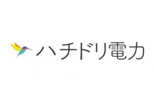 【ハチドリ電力の支援団体に当財団が仲間入りしました！】