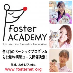 定員に達しました！【フォスターアカデミー】連続講座をらむ動物病院（埼玉県蓮田市）とコラボで開催します！