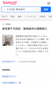 Yahoo! JAPANで「市町村名＋動物虐待」で動物虐待の通報先が分かる仕組みがアップデートされました