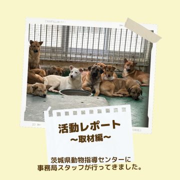 茨城県動物指導センターに行ってきました