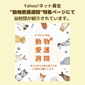 Yahoo!ネット募金 ”動物愛護週間”特集ページにて、当財団が紹介されています