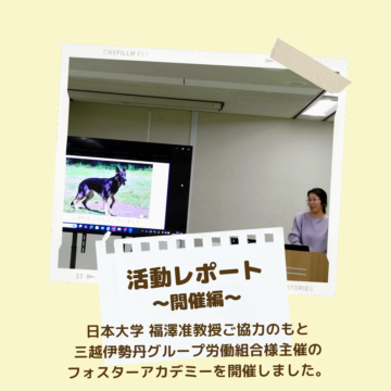 フォスターアカデミー『外来種探索犬育成の過程と成果、保護犬の使役犬としての研究』が開催されました。