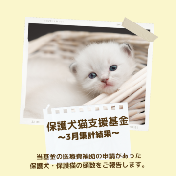 保護犬猫支援基金 3月集計結果のご報告