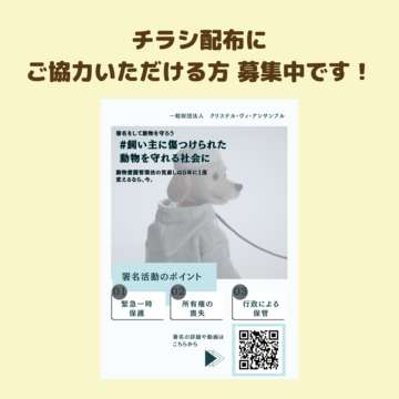 署名活動のチラシ配布にご協力いただける方を募集しています!