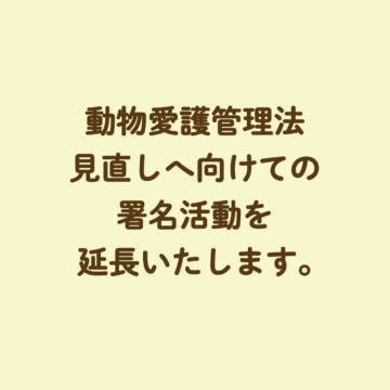 署名活動延期とチラシ配布再開のお知らせ