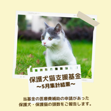 保護犬猫支援基金 5月集計結果のご報告