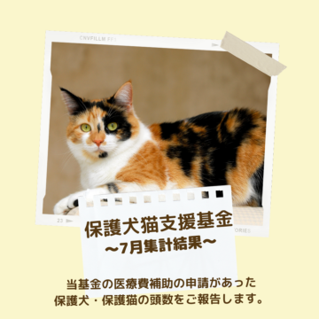 保護犬猫支援基金 7月集計結果のご報告