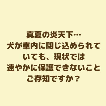真夏の炎天下…犬が車内に閉じ込められていても、現状では速やかに保護できないことご存知ですか？