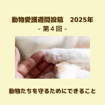 動物たちを守るためにできること