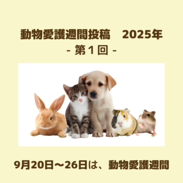 9月20日~26日までは「動物愛護週間」です。