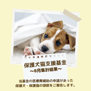 保護犬猫支援基金 8月集計結果のご報告
