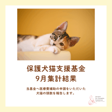 保護犬猫支援基金 8月集計結果のご報告