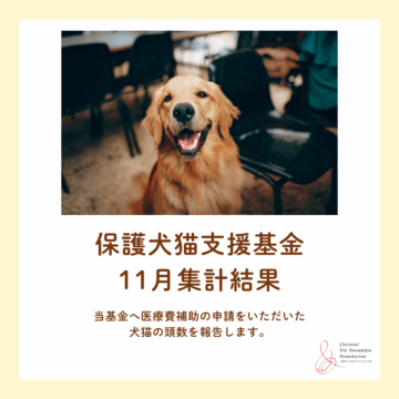 保護犬猫支援基金　11月集計結果のご報告