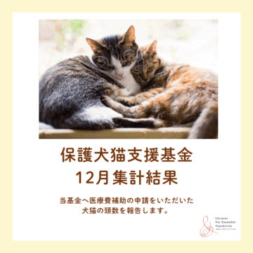 保護犬猫支援基金　12月集計結果のご報告