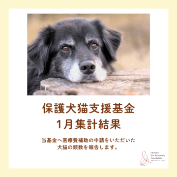 保護犬猫支援基金　1月集計結果のご報告