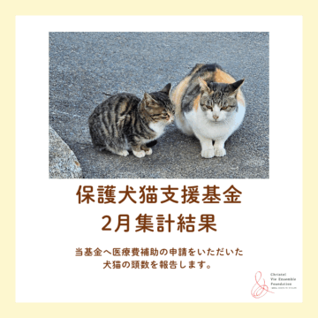 保護犬猫支援基金　2月集計結果のご報告