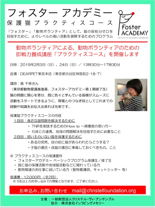 19年2月 即戦力養成講座 保護猫プラクティスコース をスタートします クリステル ヴィ アンサンブル