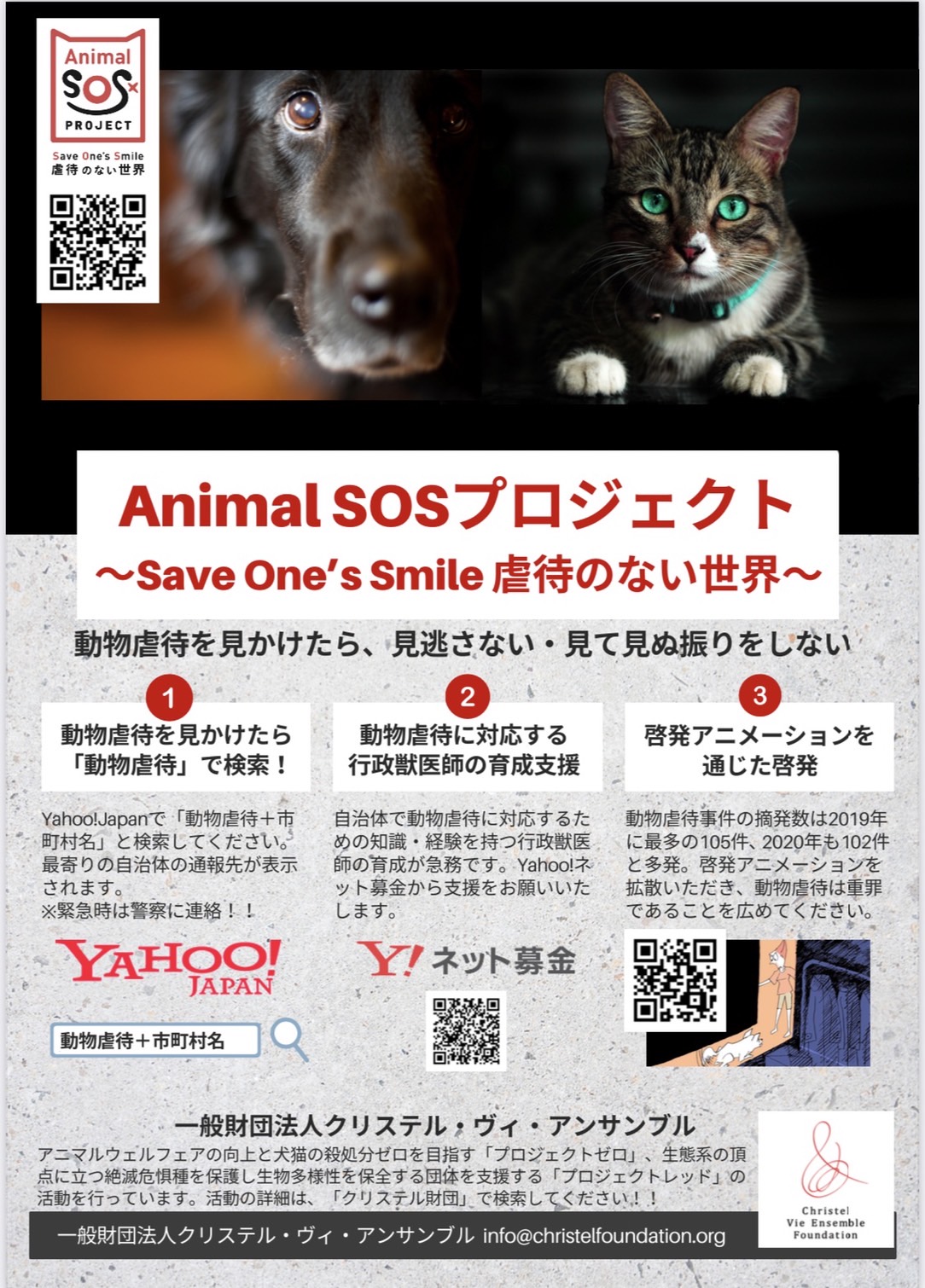 9 9 26は 動物愛護週間です 動物虐待を見かけた時に皆様にお願いしたいこと クリステル ヴィ アンサンブル